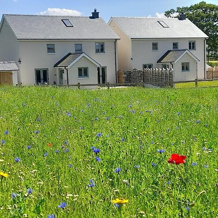 Brecon Beacons Cottage With Stunning Country Views Myddfai Buitenkant foto